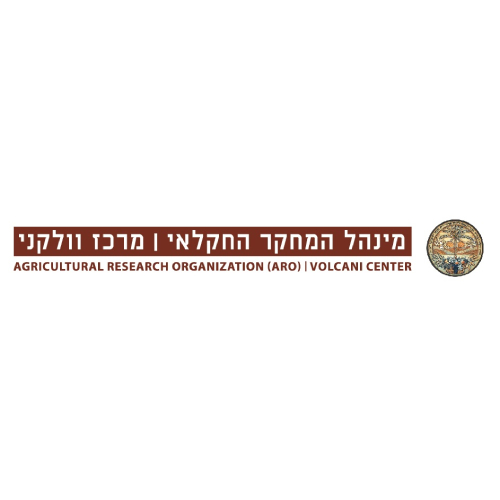 מנהל המחקר